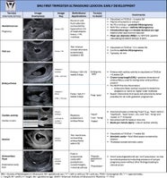 Multi Society Panel Endorses New Ultrasound Terminology For Early 